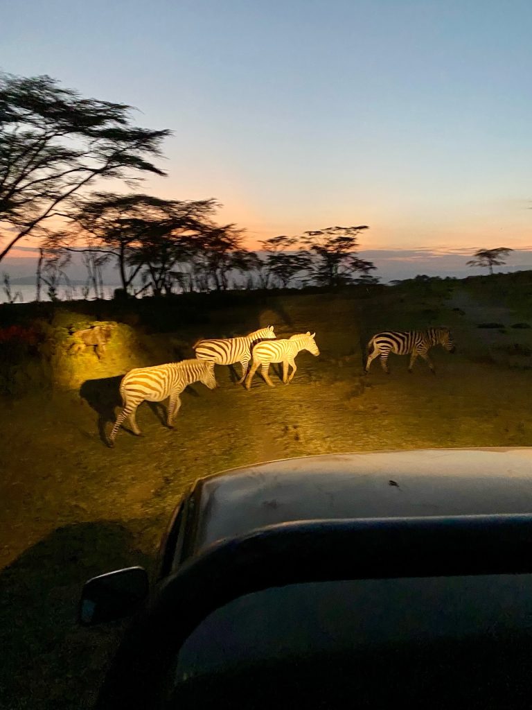 Marula Horizon Safari