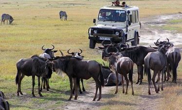 Marula Horizon Safaris