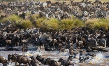Marula Horizon Safaris