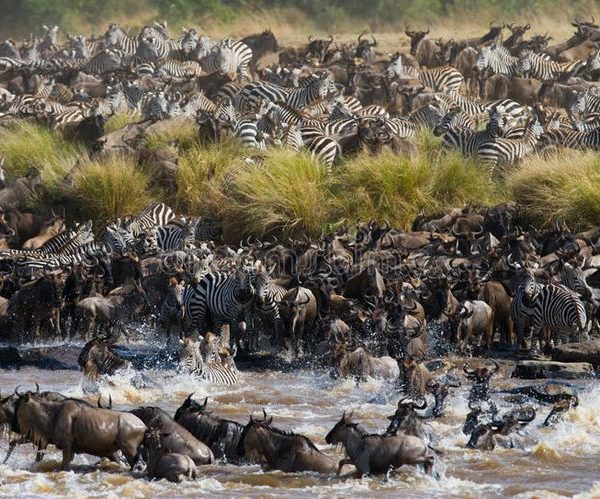 Marula Horizon Safaris