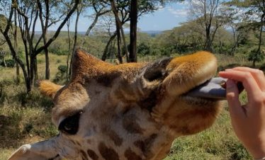 Marula Horizon Safaris