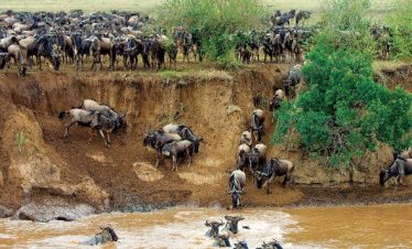 Marula Horizon Safaris