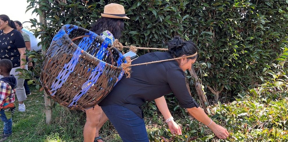 Marula Horizon Safaris