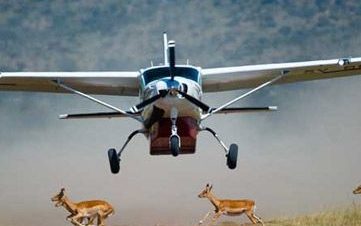 Aerial view of wildlife in Masai Mara National Reserve, Kenya