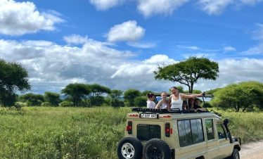 Elephants and wildlife in Tarangire National Park, Tanzania during a safari