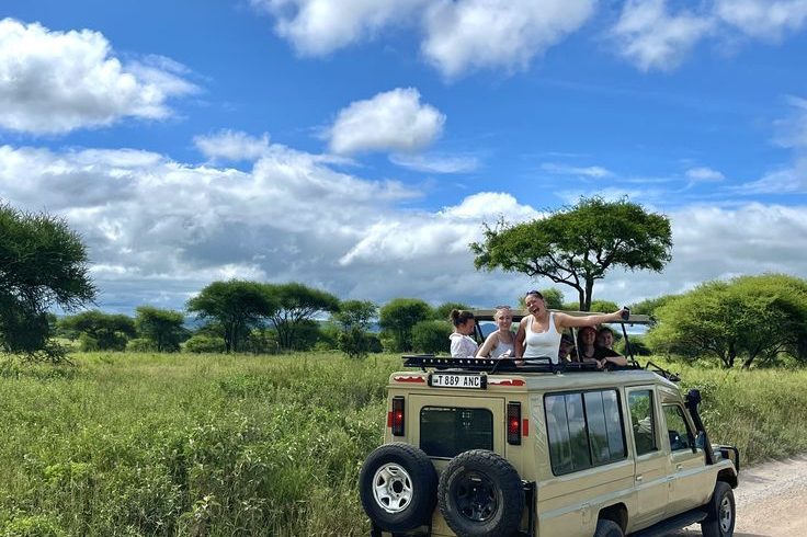 Elephants and wildlife in Tarangire National Park, Tanzania during a safari