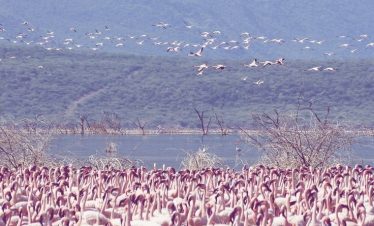 Marula Horizon Safaris