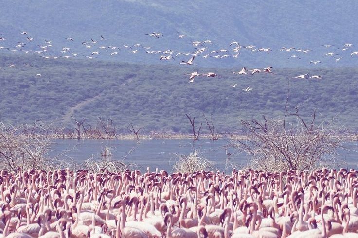 Marula Horizon Safaris